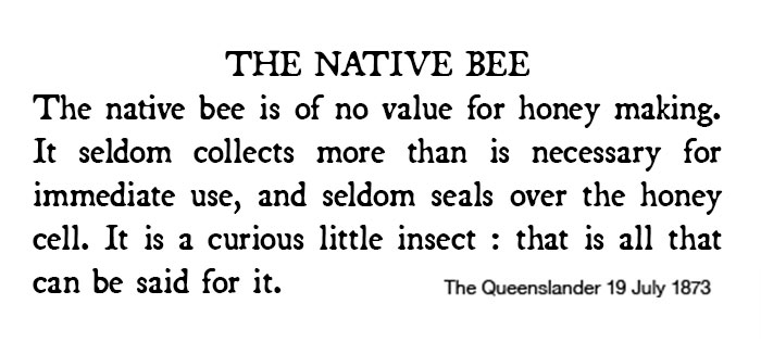 native bee newspaper clipping