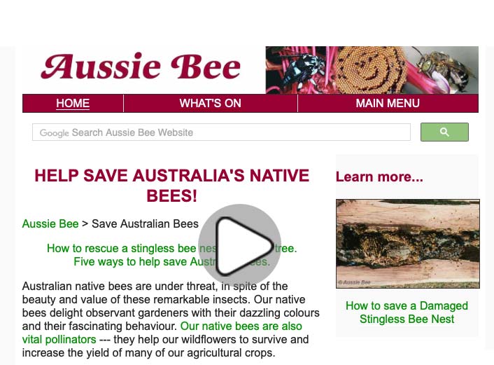 saving our native bees weblink